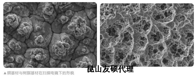 琼海蔡司琼海扫描电镜