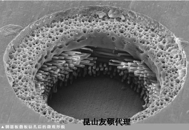 琼海蔡司琼海扫描电镜